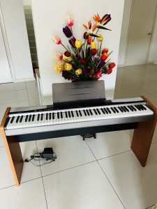 Casio Privia Digital Piano with keys lightening function when you play