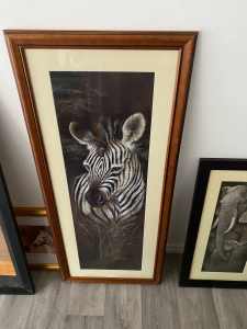 Framed zebra picture
