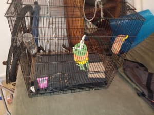 Bird or Rat cage with accessories in good condition $50