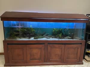 Fish Tank & Stand - 6ft
