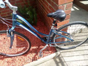 Giant Liv 21 speed step through hybrid commuter in excellent condition