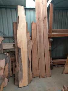 Tasmanian Craft Timbers, Huon Pine,Blackwood, Myrtle, Blackheart Sassy