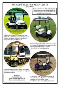 Golf carts. Great value with Lithium battery.