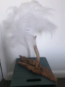 Decorative feather tree on driftwood