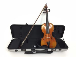 Symphony SJVN05 4/4 Size Violin