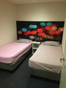 Roomshare for rent in cbd