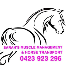 Bodywork and Horse Transport