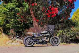 Harley Davidson tracker 883