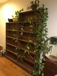 Bookcase (large), solid timber, great condition.