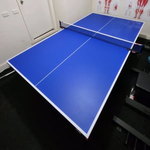 Butterfly Space Saver 22 foldable table tennis table