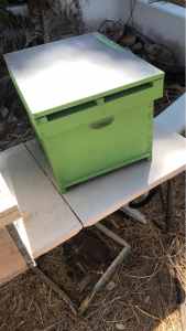 BEES NEEDING REHOMING (AS IM MOVING) WITH HIVES etc
