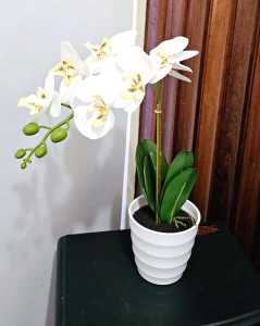White Orchid Artificial Flower in Pot