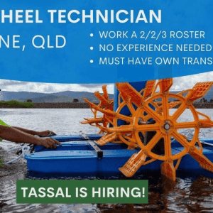Paddlewheel Technician(GREGORY RIVER)(Tassal Prawns)