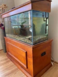 Fish tank and accessories 