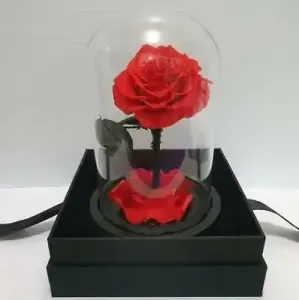 Preserved Rose Glass Dome Valentine's Day Gift 2022