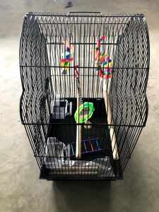 Bird cage and toys