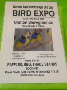 GRAFTON BIRD SALE SUNDAY 17TH MARCH GRAFTON SHOWGROUNDS 9.30AM