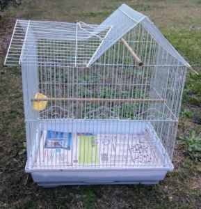 Small birdcage