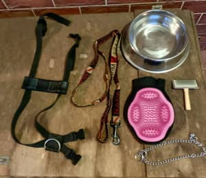 Dog harness, lead, brushes, bowl