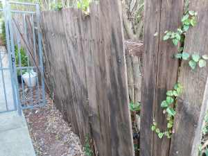 wooden fence panels FREE