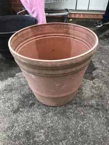 Light brown large plastic pot $2