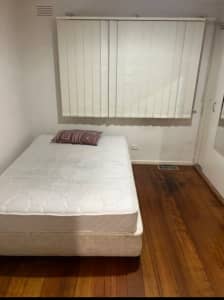 Room rent in knoxfield 