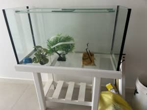 Selling turtle tank and decor