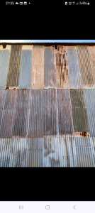 Old rustic corrugated sheet, over 1000 sheets to choose from. 