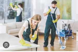 Looking for a cleaner ndis cleans