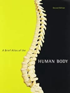 🧠Atlas of the Human Body - anatomy - excellent condition