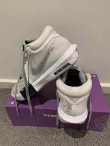 Nike Lebron Witness 8 basketball shoes size 12US Brand New