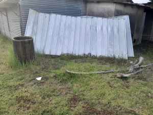 FREE metal sheets from large shed