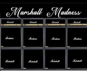 MARSHALL MADNESS require a Lead guitarist