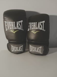 Everlast Evercool small boxing gloves