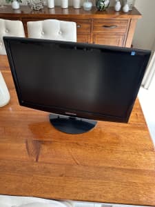 Computer Monitor 22in