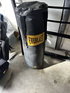 Wanted: Everlast punching bag