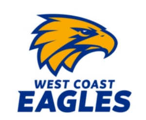 West Coast Eagles V Freo Dockers 1 x ticket 3rd level