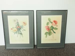 Four Framed Floral Prints by G. D. Ehret