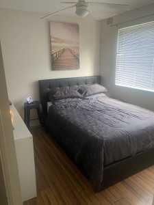 Room for rent Mona vale short or long term