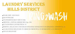 Ring2Wash Laundry Services