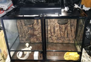 Matching reptile one setups on table
