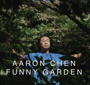 3 x Reserved Seating Aaron Chen Tickets - Funny Garden 