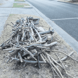 free firewood for pickup
