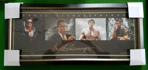 Custom Arnold Schwarzenegger Frame