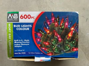 Christmas Lights 600 Multi Coloured Fairy Lights in GC