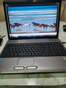 Toshiba Laptop  M40X series      17 inch screen