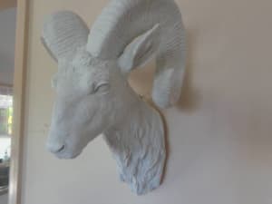Wall Mounted Ram Head White