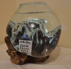 Molten Hand Blown Glass & Driftwood Fish Bowl, Vase or Terrarium
