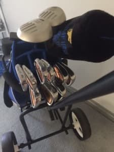 Golf Clubs USA premium quality as new left handed full set with buggy
