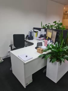 OFFICE FURNITURE SALE - NEEDS TO GO BY 28 JULY!!!